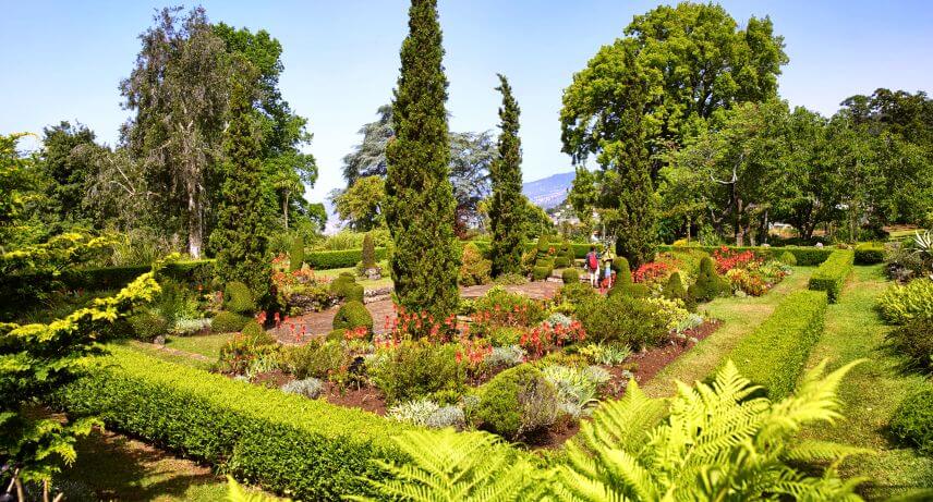 5 Gardens You Must Visit in Funchal - Palheiro Gardens